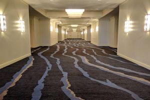 Alojamiento - Hilton Meadowlands