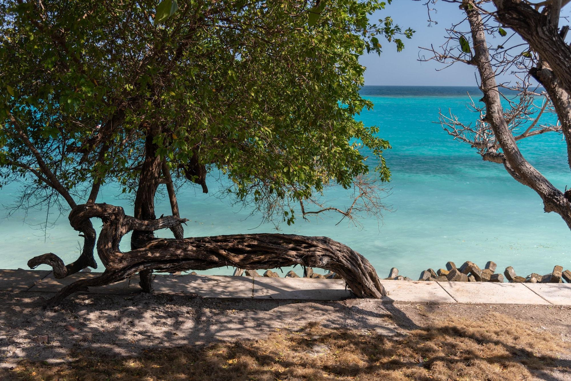 Playa Lago de los Sueños Island