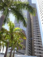 Alojamiento - Betel Beach Class Internacional