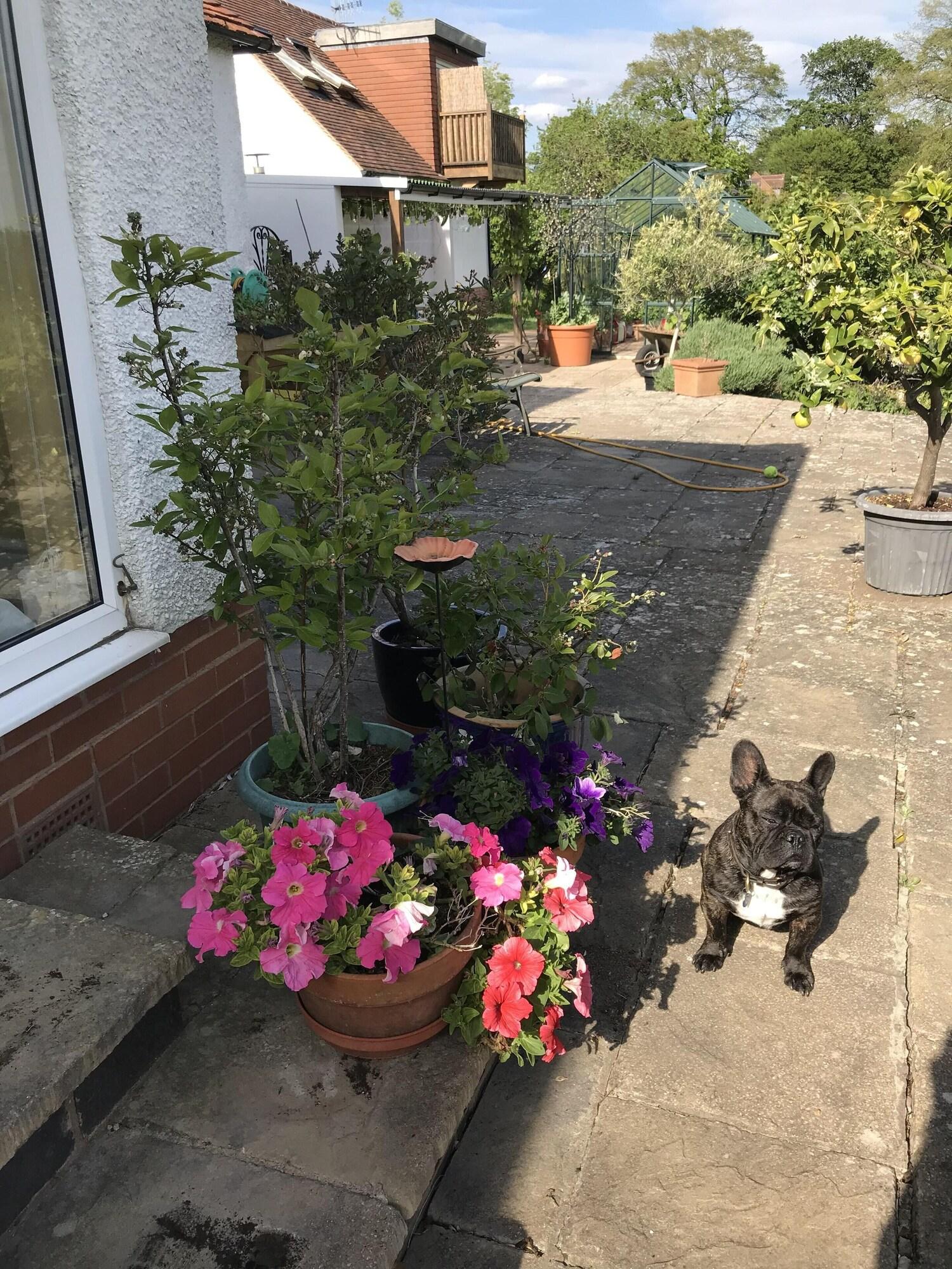 Vista Exterior Shakespeare's View