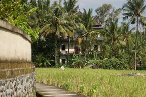 Pacote - Eden House Ubud