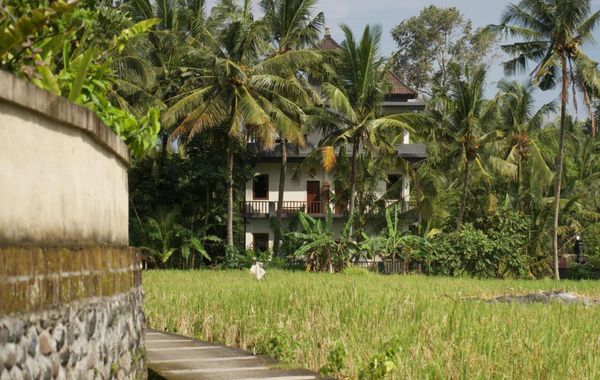 Eden House Ubud