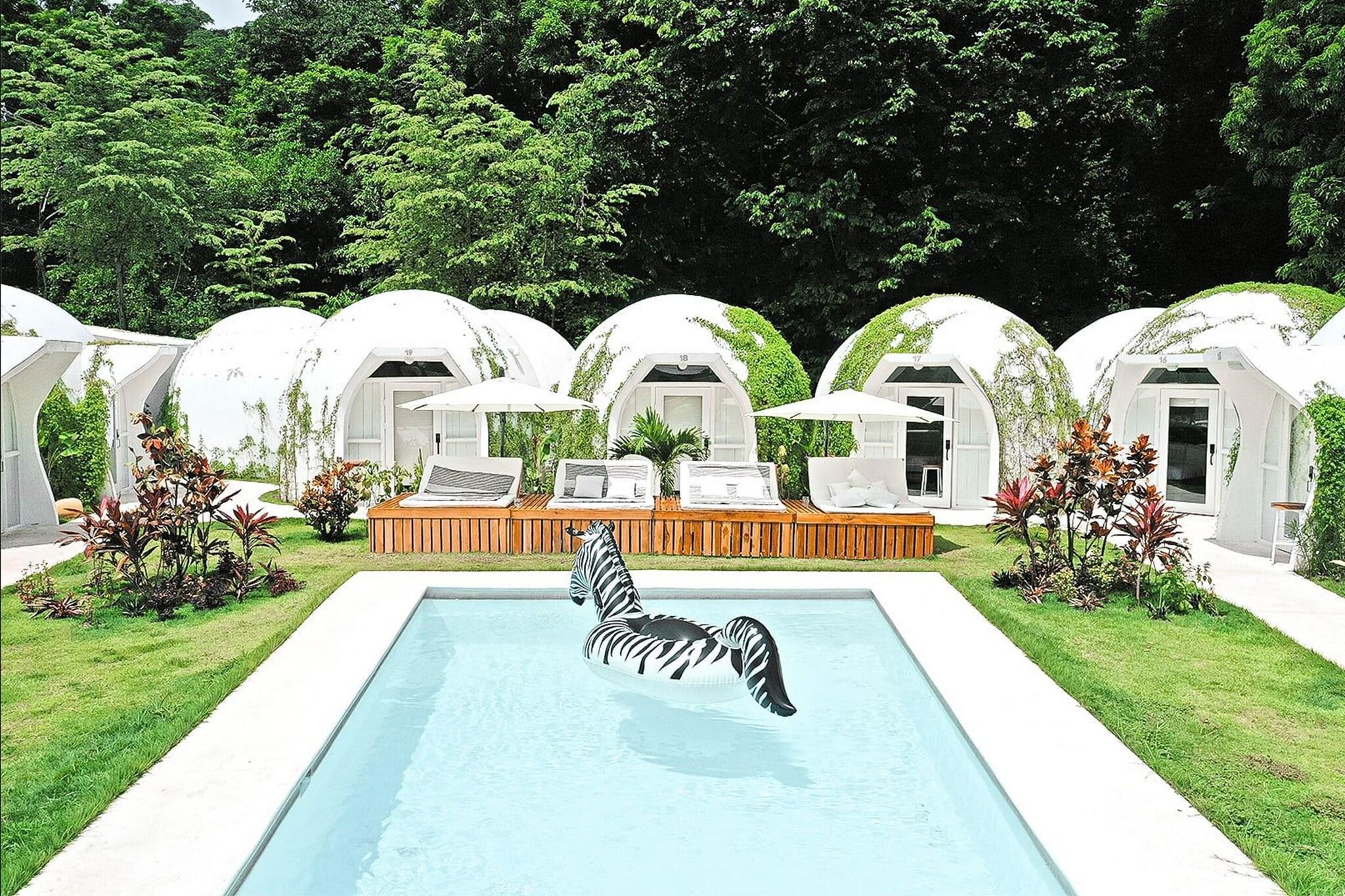 Vista Piscina Igloo Beach Lodge