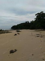 Alojamiento - Kittiya Mansion