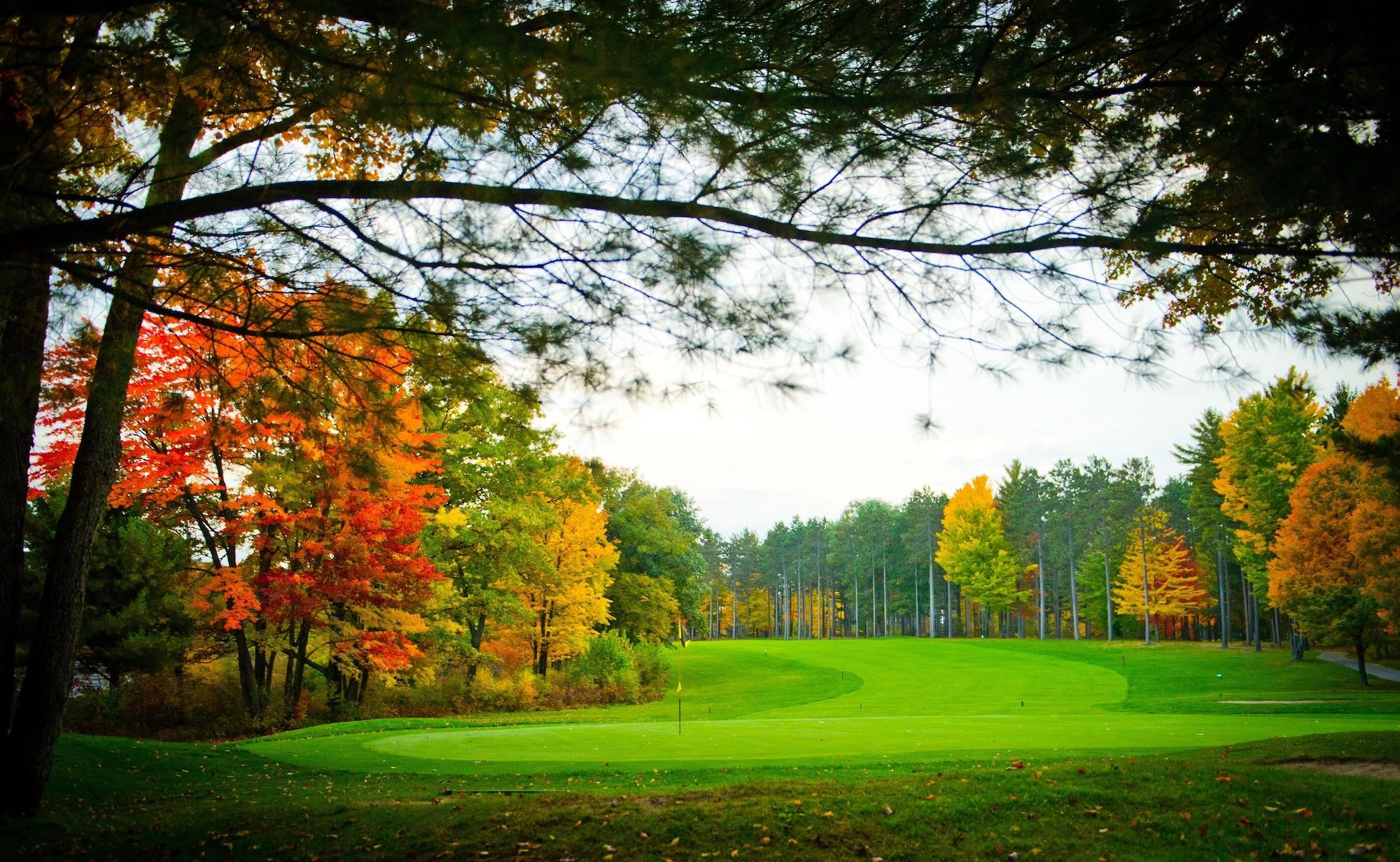 Campo de Golf The Loon