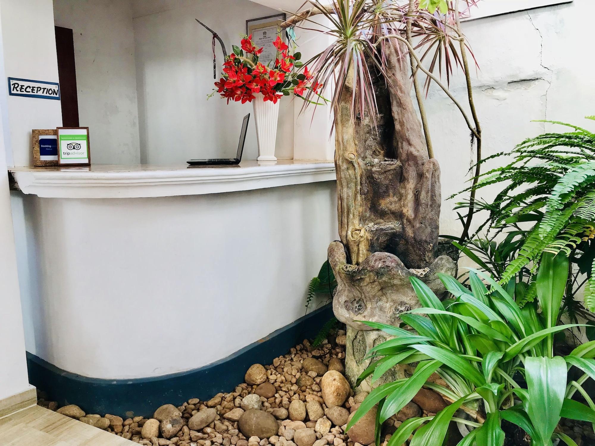 Vista Lobby The Forest