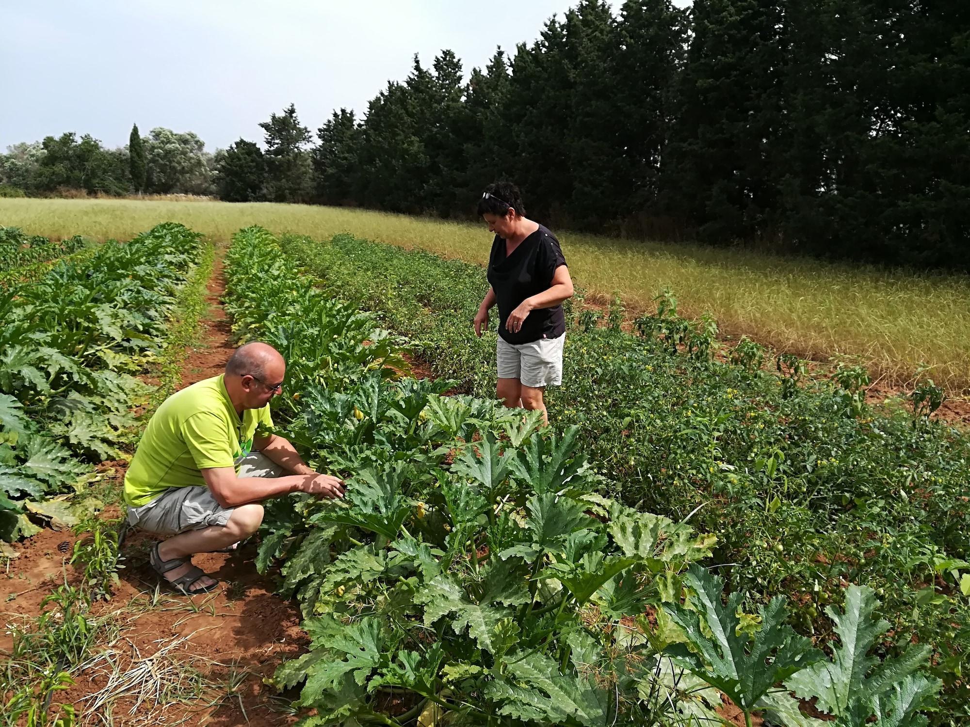 Varios Masseria Fracchicchi