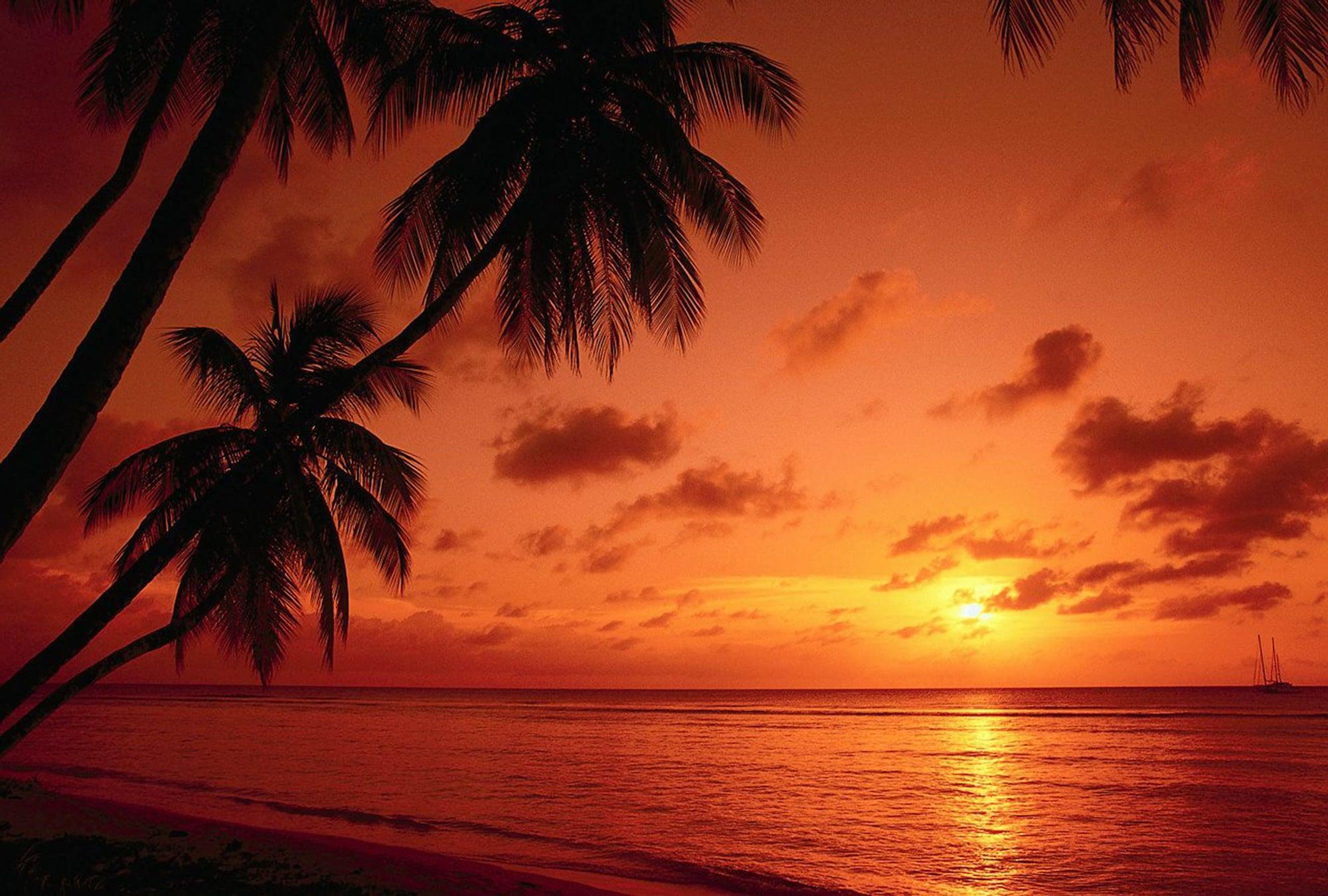 Playa Miri Marriott Resort & Spa