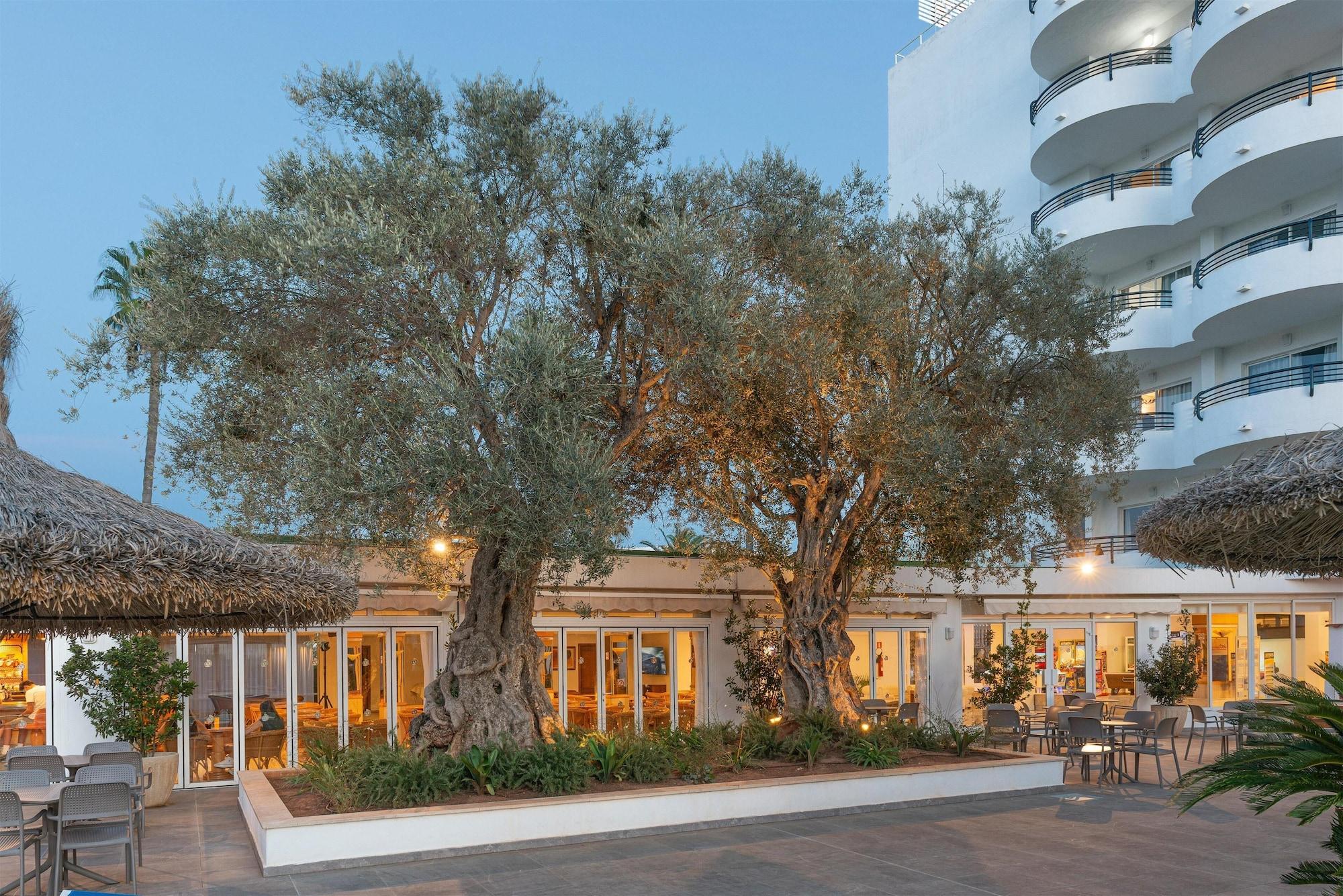 Vista Exterior Alcudia Beach Apartments
