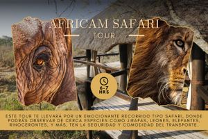 Actividad - Tour por Africam Safari