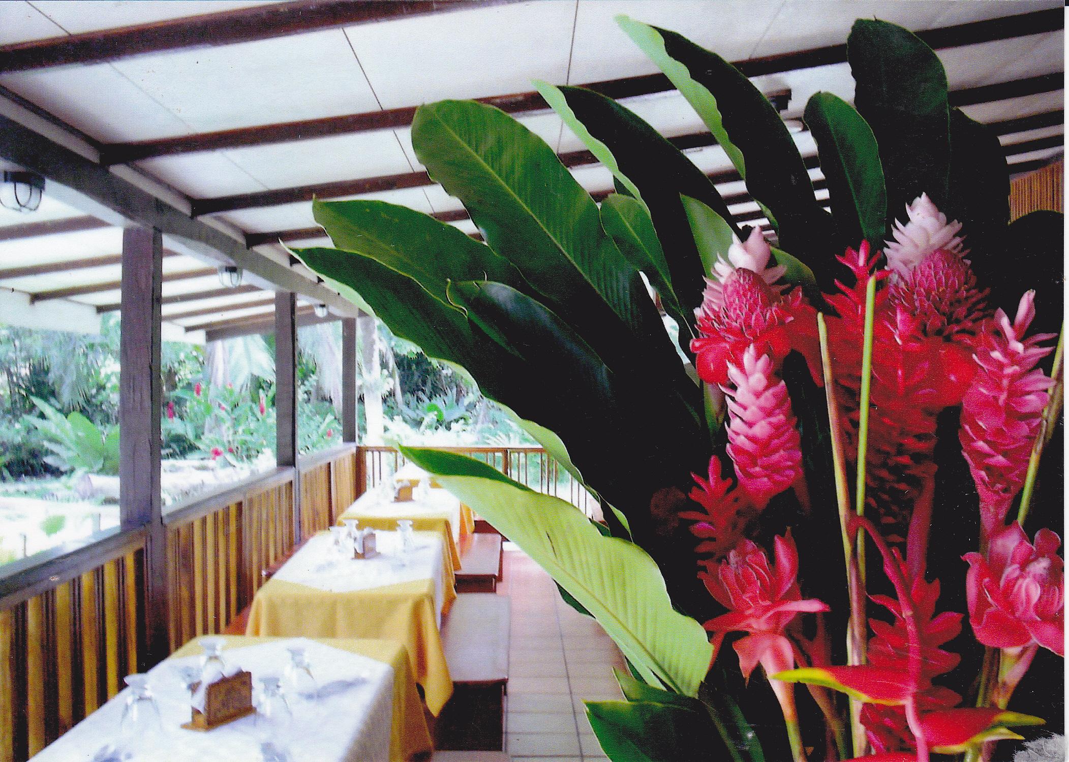 Restaurant El Pizote Lodge