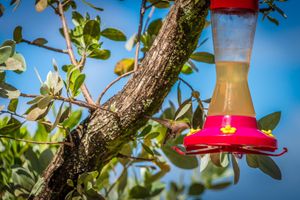 Alojamiento - East Winds Saint Lucia