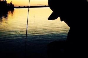 Alojamiento - Bear Track Outfitters