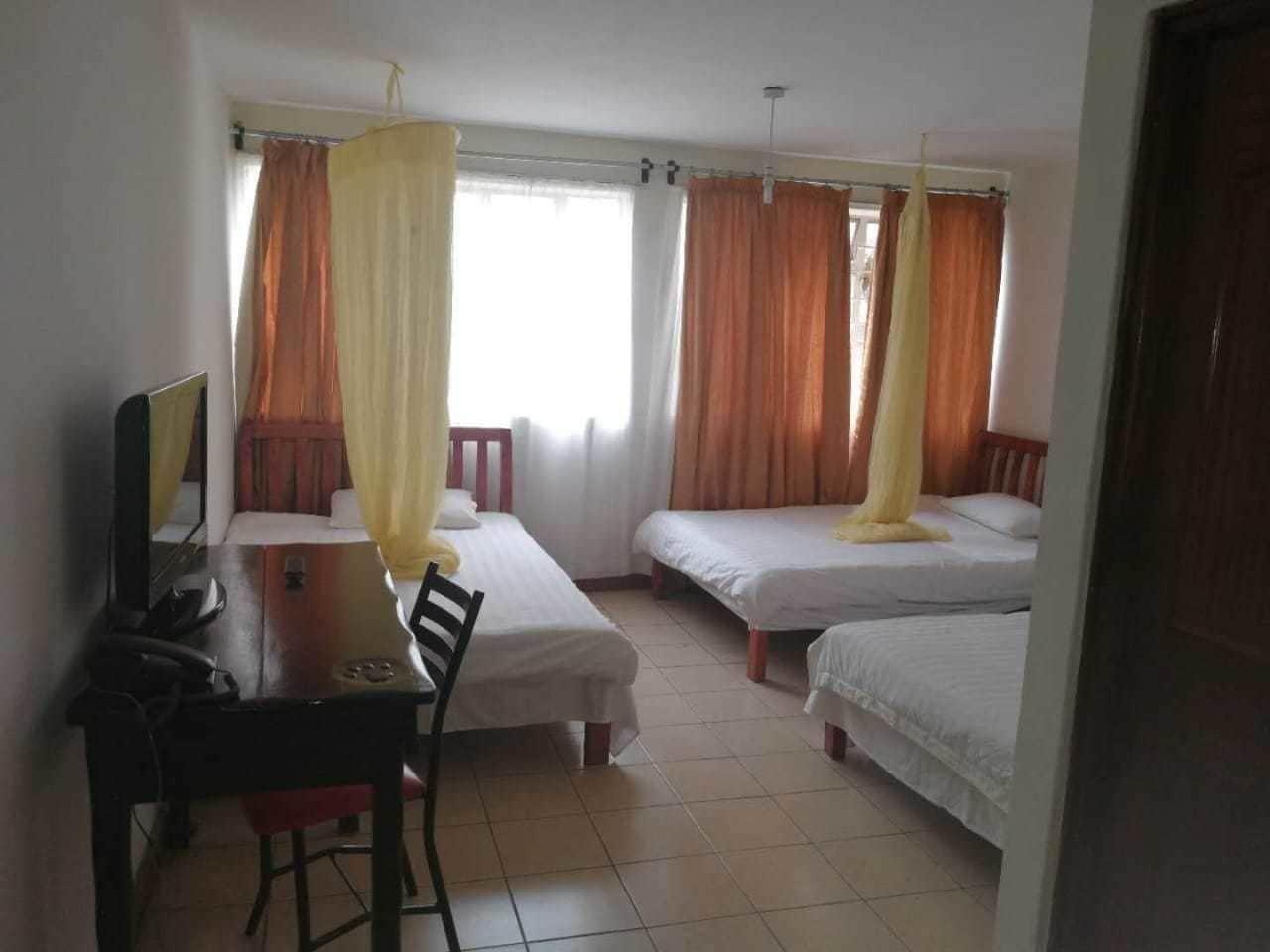 Habitación Golden Moon Star