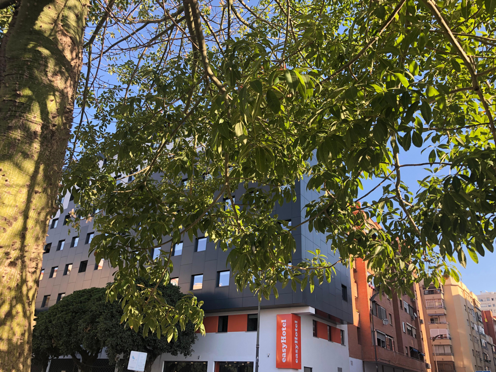 Vista Exterior Flex Malaga City Center