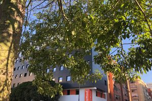 Alojamiento - Four Points Flex by Sheraton Malaga Centre