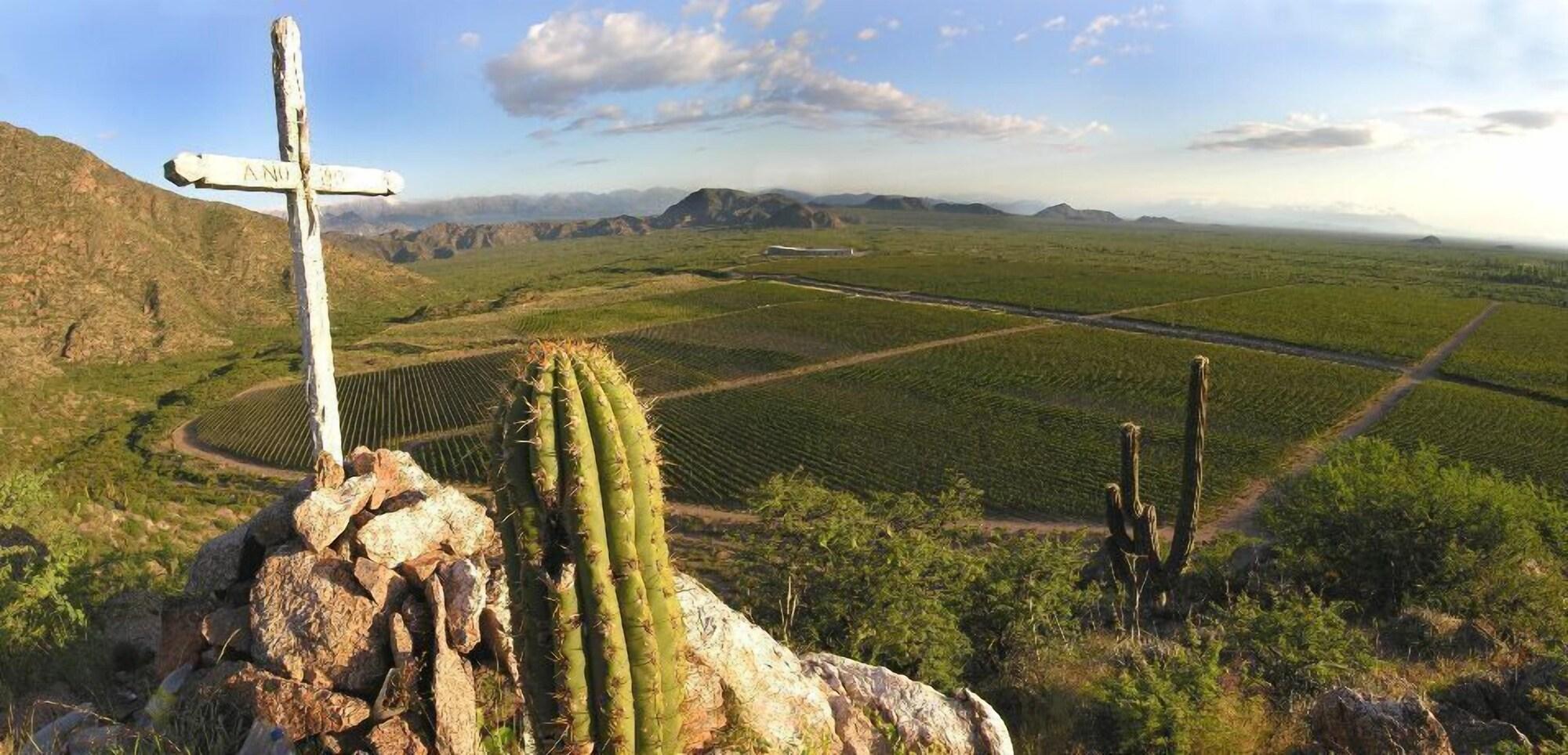 Comodidades del Alojamiento Chañarmuyo Hotel de Vino