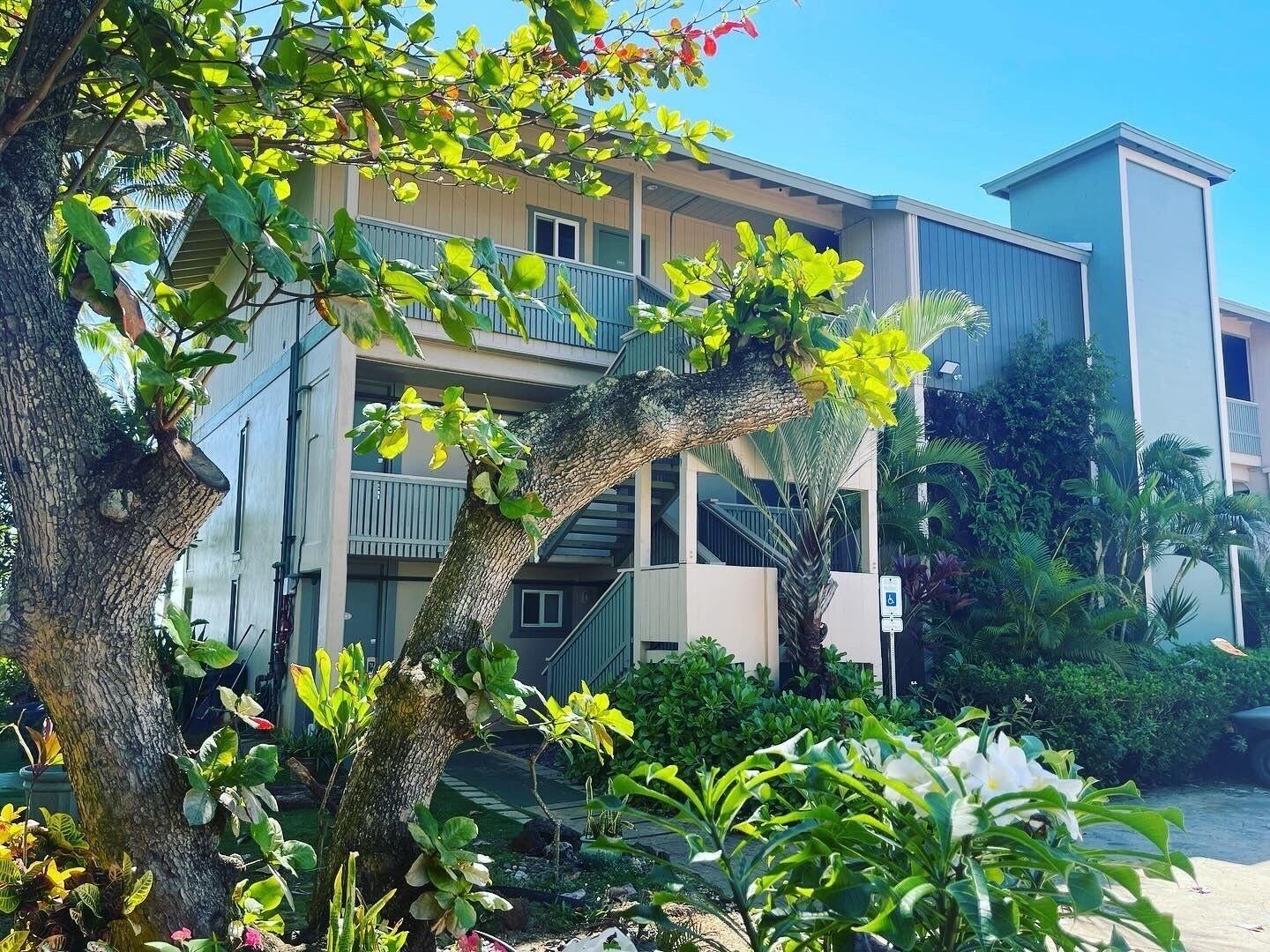 Vista Exterior Hotel Coral Reef