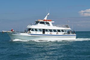 Actividad - Pesca Deportiva en Miami