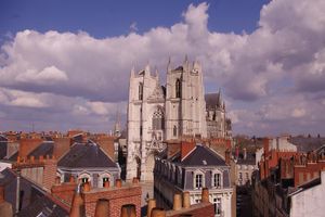 Actividad - Recorrido a pie privado por Nantes