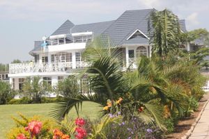 Alojamiento - Balmoral Beach Hotel