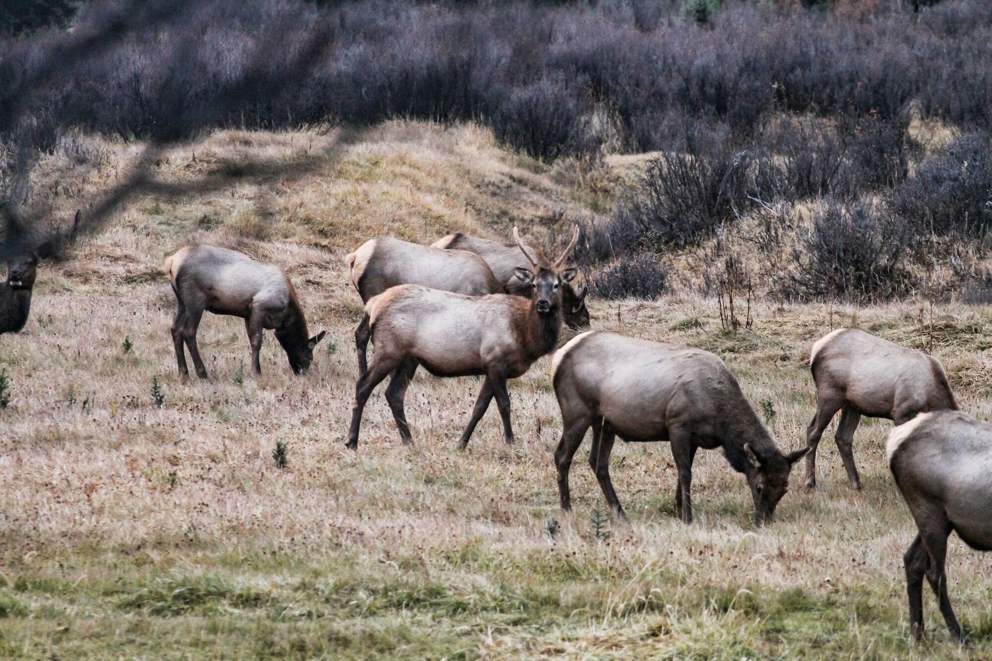 Instalaciones Recreativas Rock Lake Lodge