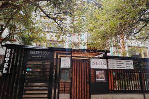 Paquete - Dolce Lobo Boutique Stay