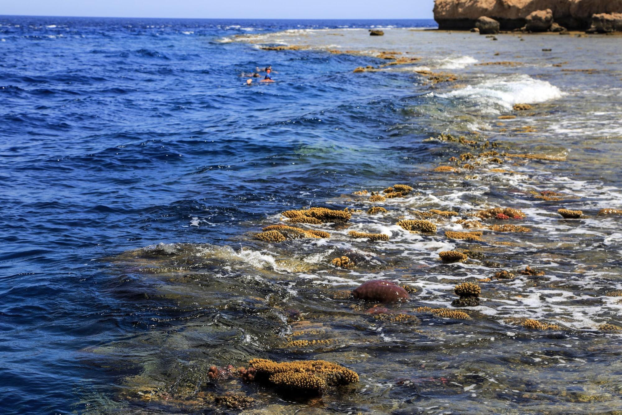Playa Sharm Club Beach Resort