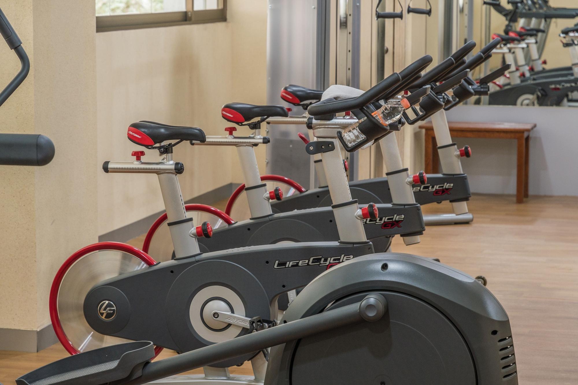 Gimnasio Suites Perisur Apartamentos Amueblados