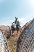 Alojamiento - Al Sole Mountain Chic