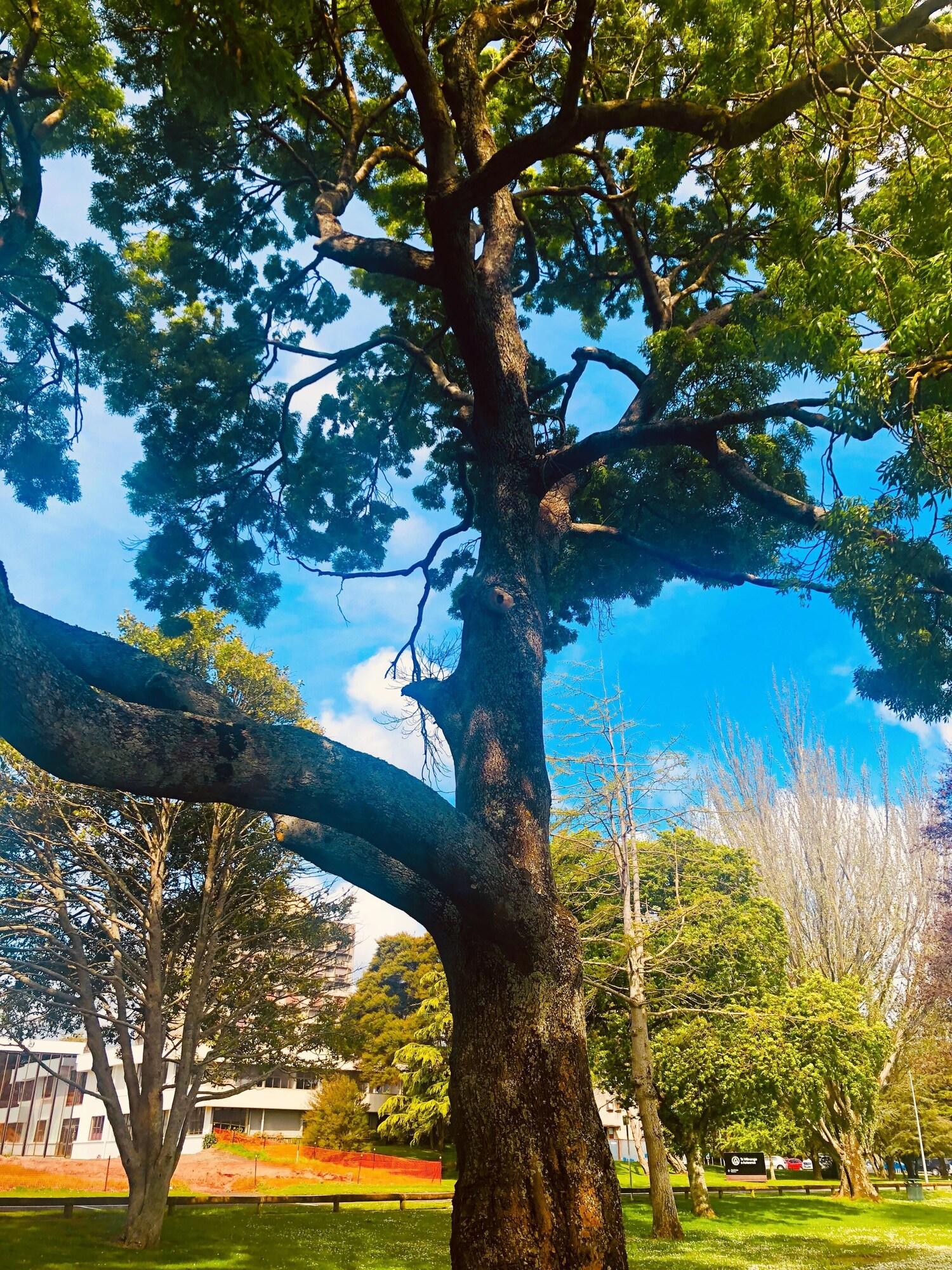 Instalaciones Recreativas Hacienda Motor Lodge