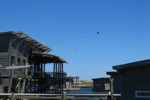 Alojamiento - Laguna Garzon Lodge