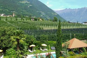 Alojamiento - Hotel FleurAlp