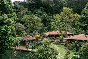 Alojamiento - Trogon Lodge