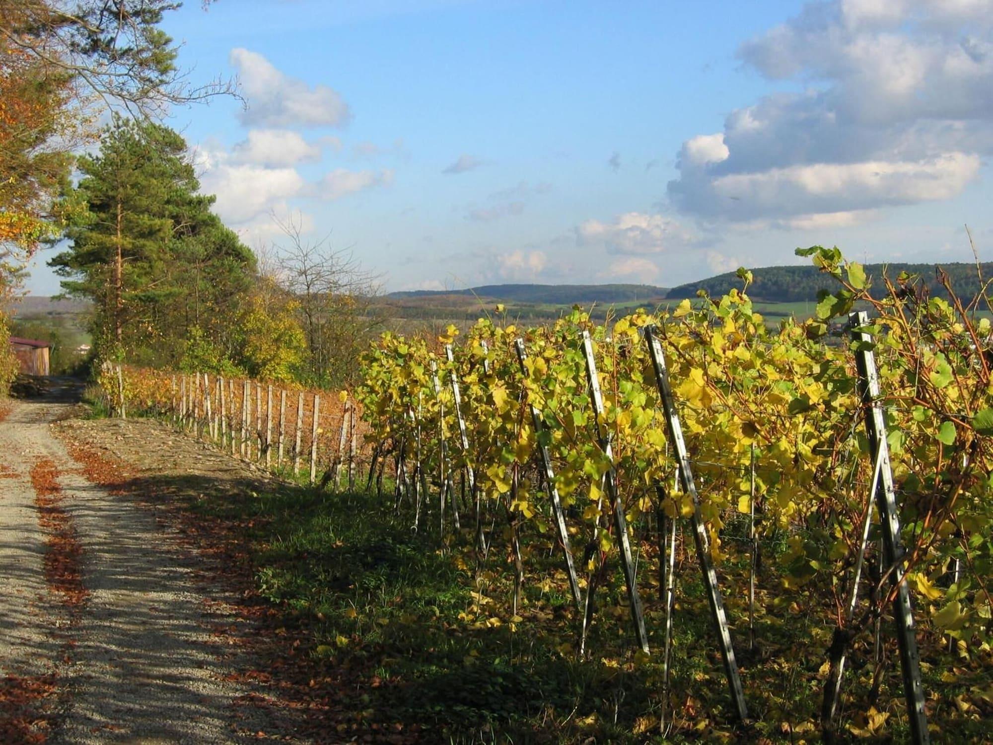 Comodidades del Alojamiento Weinstube Schwalbennest