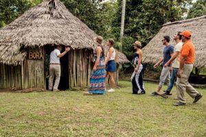 Actividad - FULL DAY MUNDO AMAZONICO-CHARLA SABEDORA