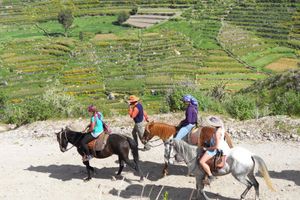 Actividad - TOUR CABALGATA EN EL VALLE DE CHILINA DE AREQUIPA
