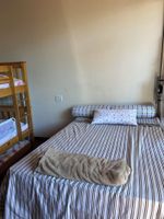 Alquiler Vacacional - Cozy house in the Valley of the Vines. Among the trees, Immersed in nature.