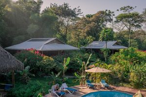 Alojamiento - The Hummingbird