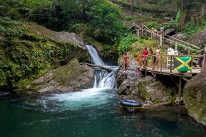 Actividad - Caminata por una finca de café en las Montañas Azules de Jamaica desde Ocho Ríos