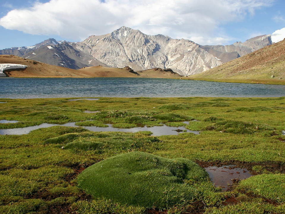 Mendoza