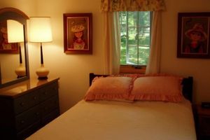 Alquiler Vacacional - Beautiful Torch Lk Sunset~hot tub-Tennis/pklbl Crt~Kayaks/SUP~ Playset-firepit