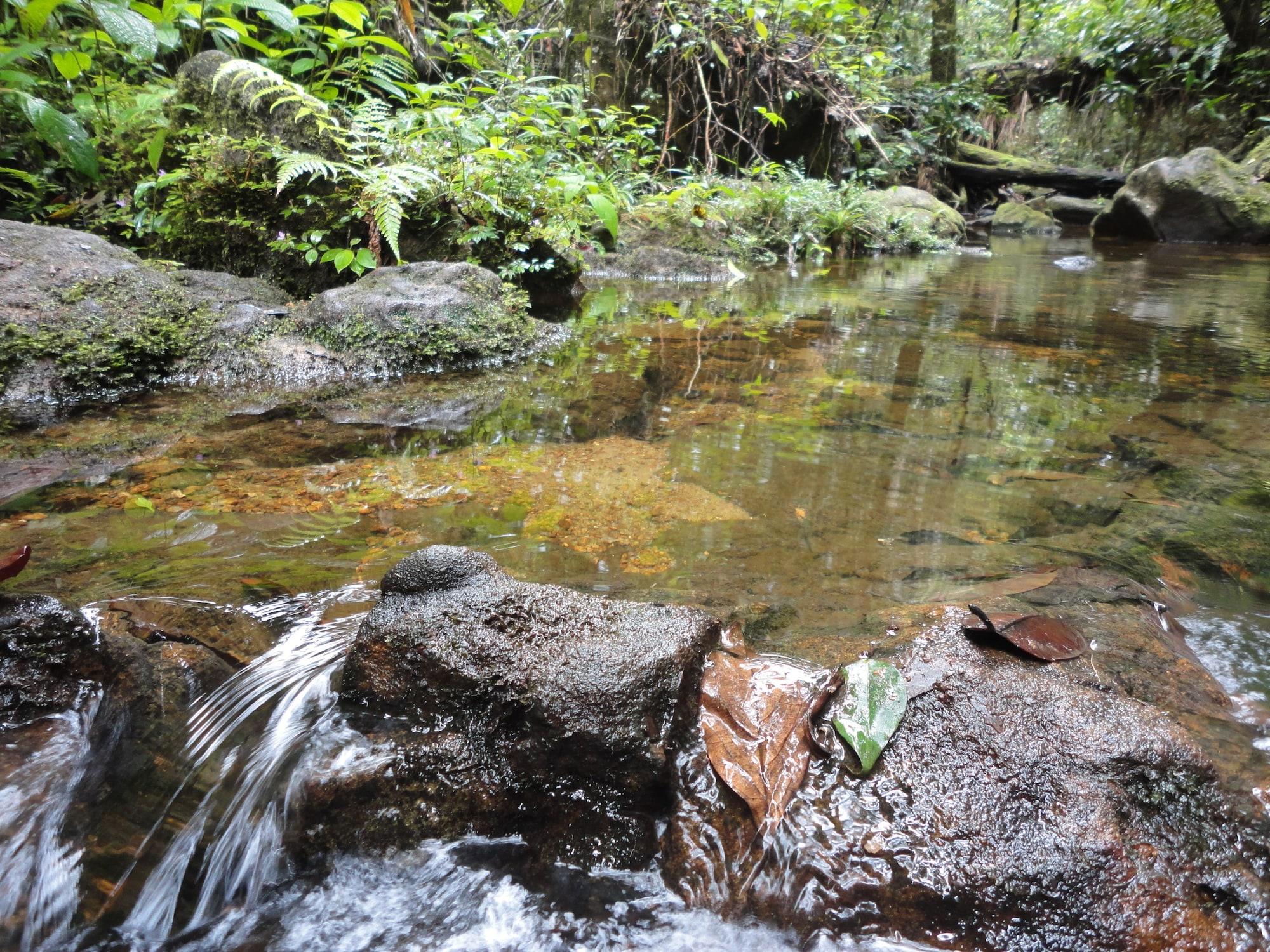 Comodidades del Alojamiento Explorer by Eco team - Sinharaja