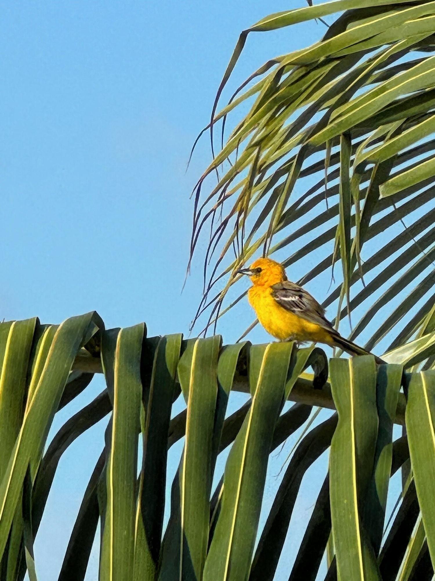 Tobogán de agua Secret Beach Cabanas, Green Cabana. Sea Views just steps to water access!