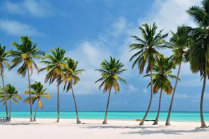 Paquete - Paquetes a Punta Cana