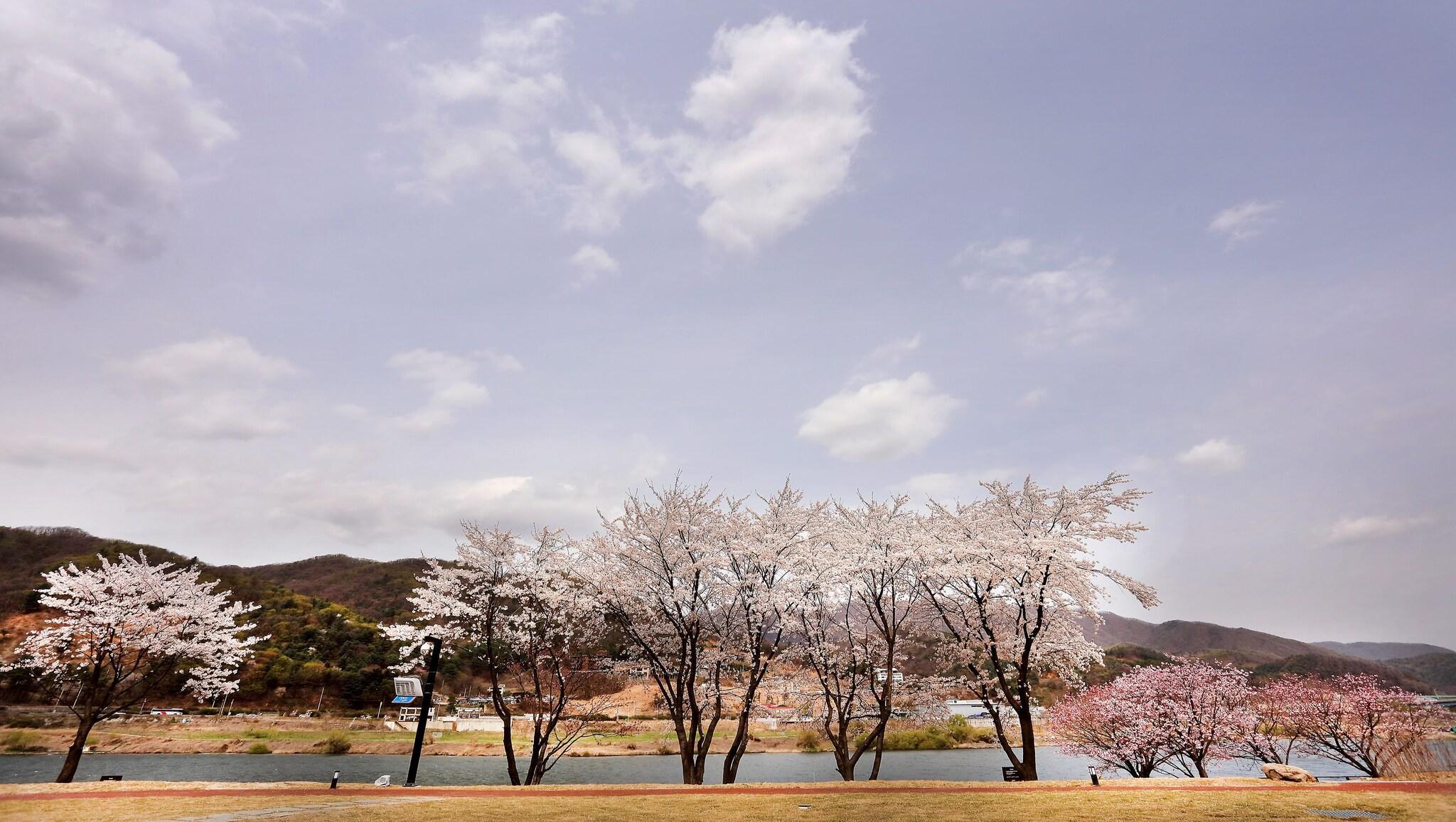 Vista Exterior Midas Hotel & Resort