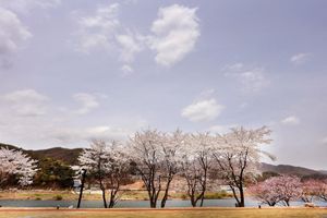 Alojamiento - Midas Hotel & Resort