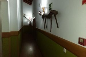 Alojamiento - Hotel Rural la Gavilla
