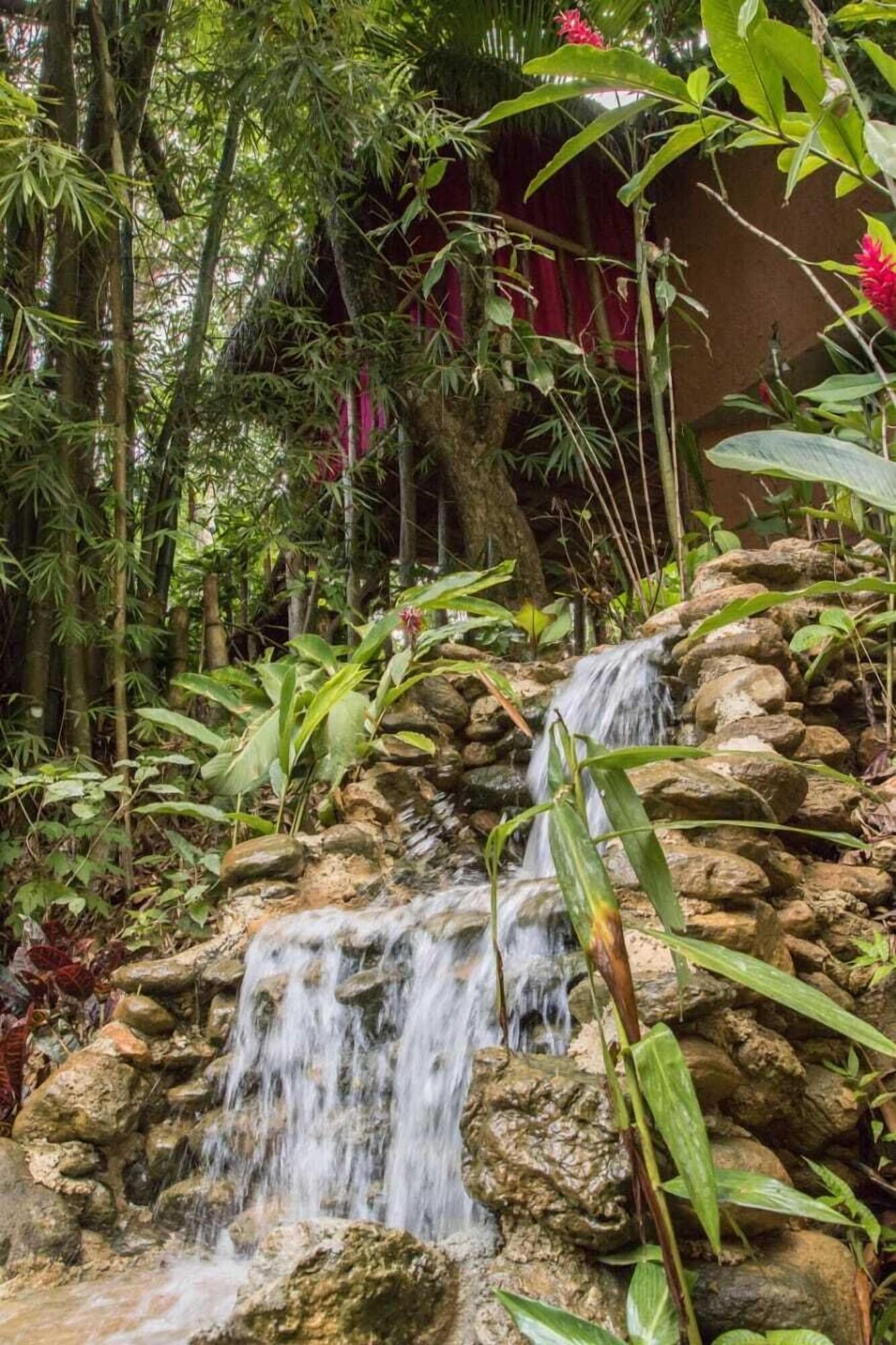 Vista Exterior Samanatropicalvillage