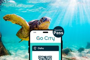 Actividad - Pase Essentials Go City Oahu: Visita 3 atracciones principales